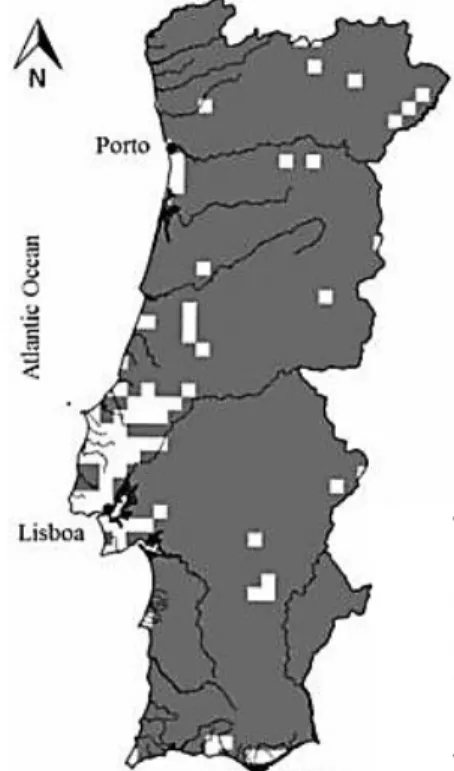 Figura 8. Mapa de distribuição da Lontra  Euroasiática em Portugal, em quadrículas  UTM de 10x10 km
