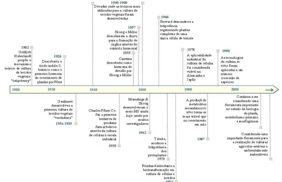 Figura 2. Etapas históricas mais importantes no desenvolvimento de técnicas de cultura in vitro e produção de metabolitos (Dias et al., 2016)