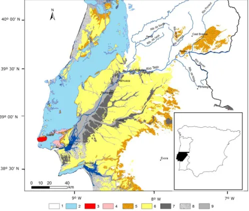 Fig. 1 – Mapa geológico da Bacia Cenozóica do Baixo Tejo e unidades morfo-estruturais envolventes (adaptado da  Carta Geológica de Portugal 1:  500000, LNEG, 1992)
