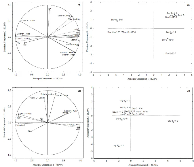 Figure 2 - Principal component analysis of fresh (2A) and minimally processed (2B)  tangerine ‘Dekopon’ under different temperatures and storage time