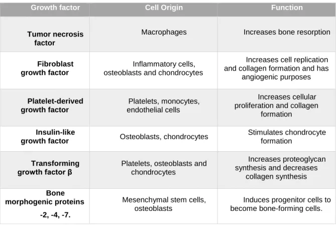 Table 3  - Influence of growth factors on graft incorporation and bone healing. 43