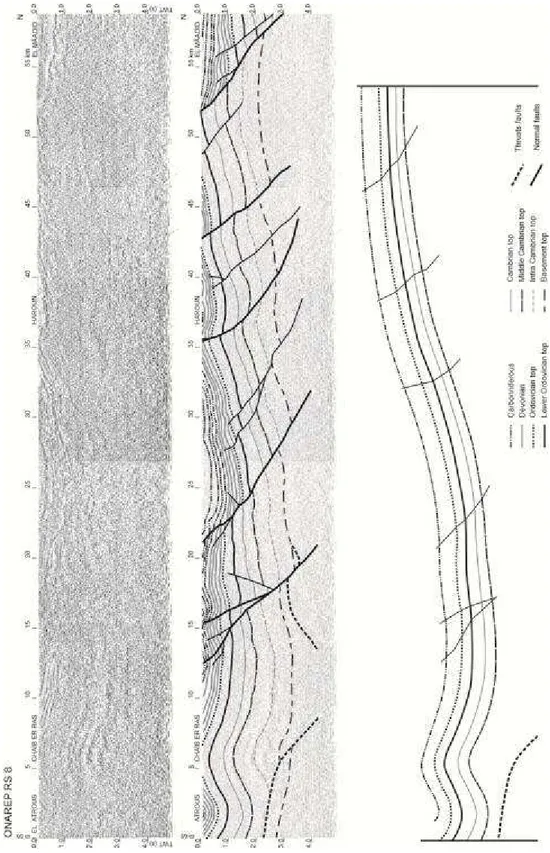 Fig. III.12 – Linha sísmica RS8 e respectiva interpretação, realizada por Robert-Charrue &amp; Burkhard, 2008