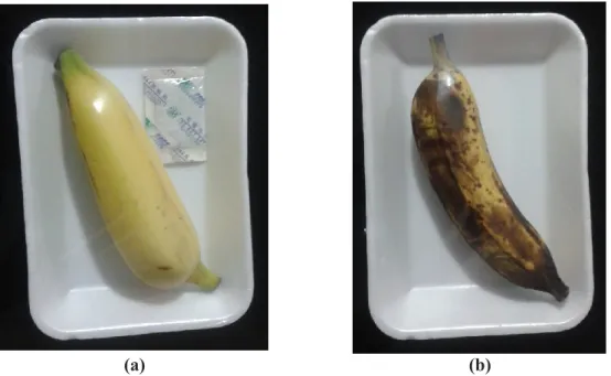 Figura 2 - Efeito de um sistema absorvedor de etileno na vida pós colheita de banana (a)  fruta embalada contendo um sachê absorvedor de etileno e (b) sem uso do sachê no 