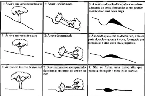 Figura 24 – Efeito do ângulo de talude na ocorrência de movimentos de massa (adaptado de Norman, 1995) 