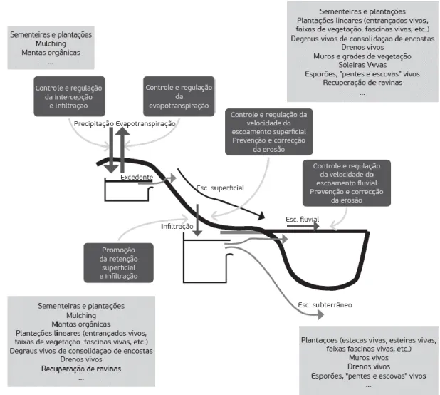 Figura 67 – Intervenções de Engenharia Natural para a gestão dos sistemas hidrológicos (Fernandes J