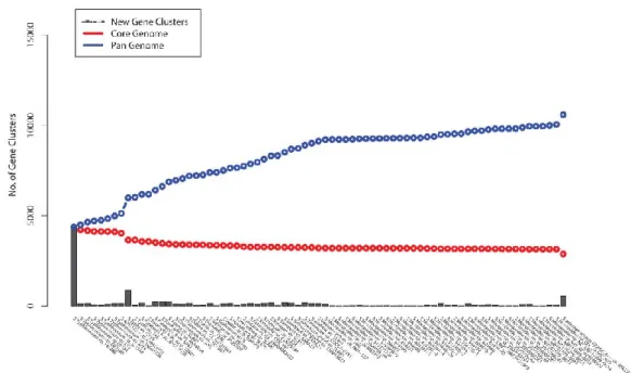 Figure 1-1 – Plot of Salmonella pan- and core-genomes, adapted from ( 76 ). 
