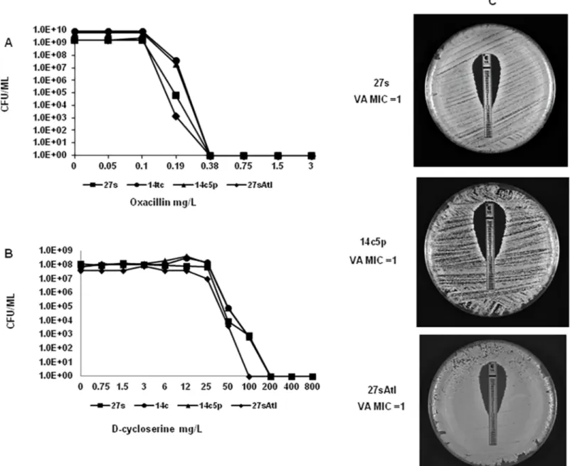 Fig 3. Population analysis profiles and Etest of parental strain 27s, and mutants. Stationary phase cultures of 27s, 14c, 14c5p and 27sAtl were plated with several dilutions on agar plates containing increasing concentrations of (A) oxacillin or (B) d-cycl