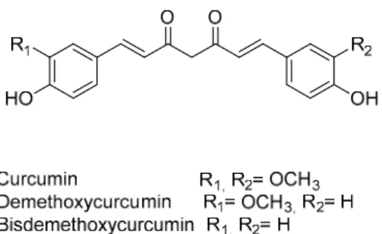 Figure 2. Main curcuminoids isolated from turmeric of Curcuma longa L. 