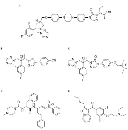 Figure 3. TcCYP51 crystallographic structure (PDB ID: 3KSW). The protein is represented as a gray ribbon, the BC- BC-region  that  close  the  active  site  and  includes  residues  important  of  the  catalytic  activity  is  colored  in  red,  residues  