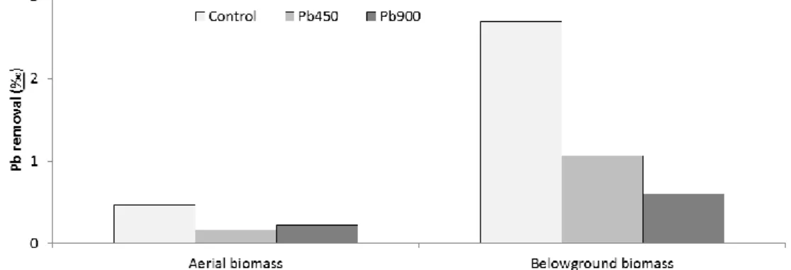 Figure  3  shows  the  Pb  removal  (%)  by  the  aerial  and  belowground  biomass  of  giant  reed  to- to-wards  the  bioavailable  Pb  content  in  the  soil  (Control,  7.5  mg  kg -1 ;  Pb 450 ,  192  mg  kg -1 ; Pb 900 ,  515 mg kg -1 ), after two c
