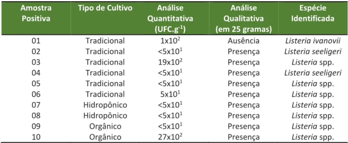 Tabela 1: Amostras positivas para análise quantitativa e/ou qualitativa de Listeria spp