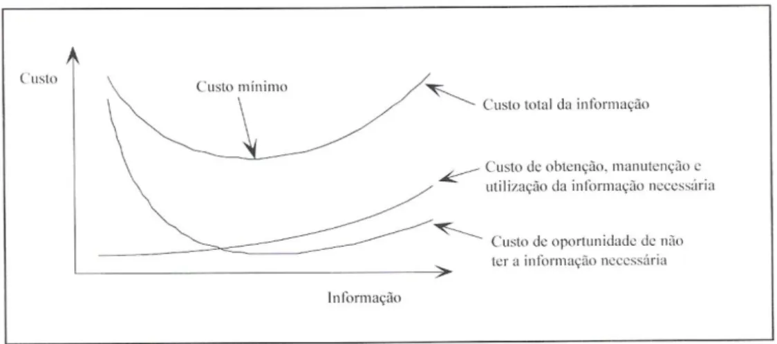 Fig. 6: Saturação na utilização da informação (retirado de Luís Amaral, op. cit., p. 30).