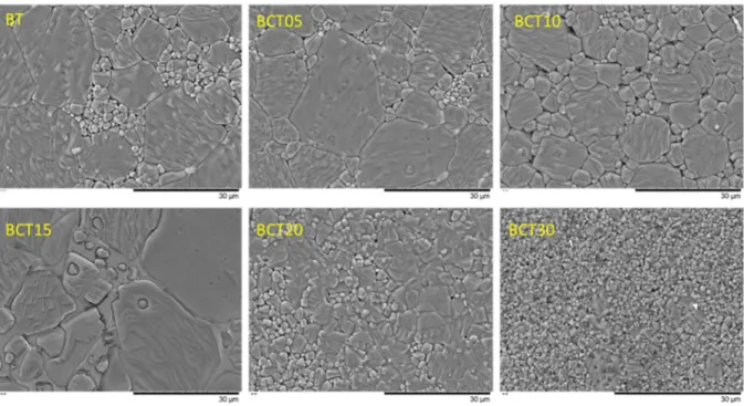 Figure 4.2.9 SEM showing different grain sizes in Ba (1-x) Ca x TiO 3  0 ≤ x ≤ 0.3 . 
