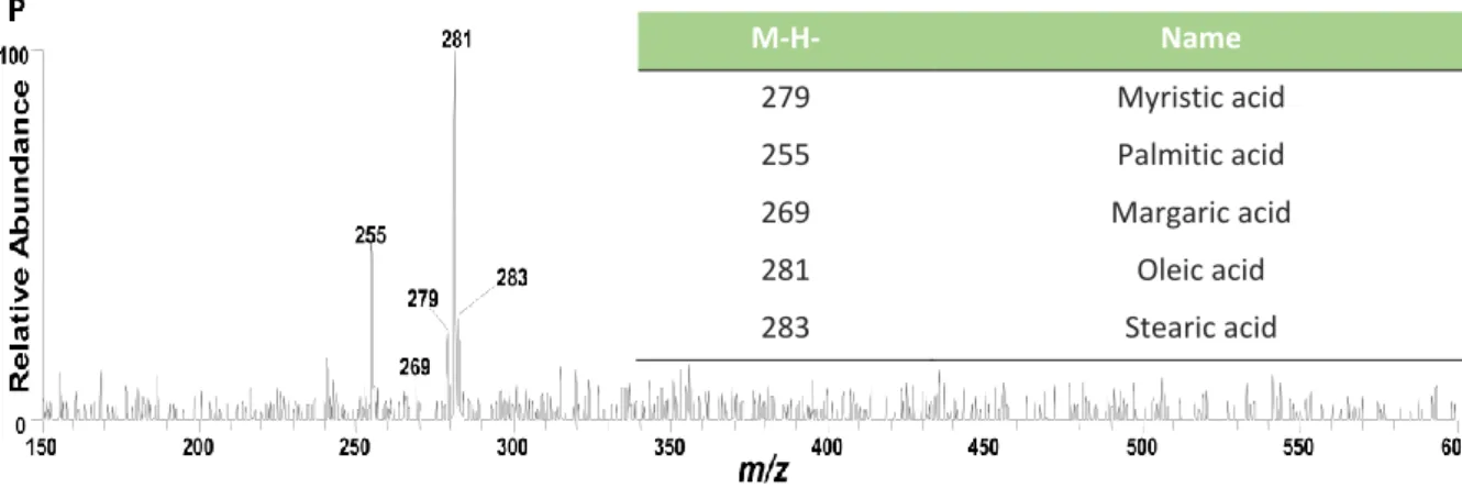 Figura 3.  Espectrometria de massa de ácidos graxos da Bacaba, procedente da Amazônia  Ocidental