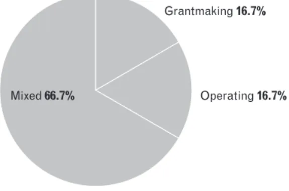 Figure 14  Grantmaking, operating and mixed  foundations (2007)