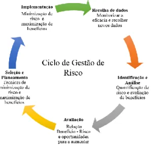 Figura 5- Ciclo de Gestão de Risco. (15)  (Adaptada de Lindquist M.) 