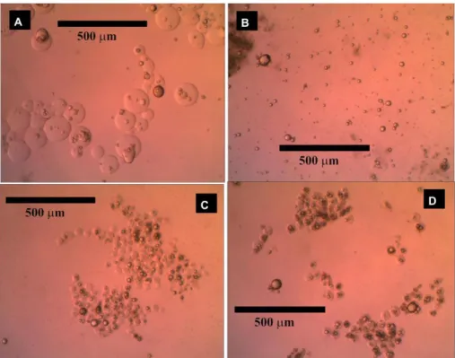 Figure 1 - Microcapsules morphology (100x magnification): (a) Exp. 1: 350 RPM and  0.8250 g oil; (b) Exp 2: 350 RPM and 0.4125 g oil; (c) Exp 3: 500 RPM and 0.4125 g oil; (d) 