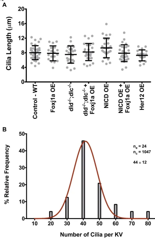 Figure 4 – figure supplement 2 