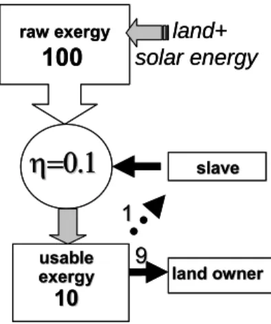 Fig. 1.  Exergy conversion in a pre-industrial economic system.   