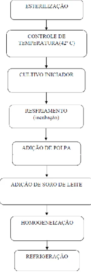 Figura 2 - Esquema de produção de bebida láctea. 