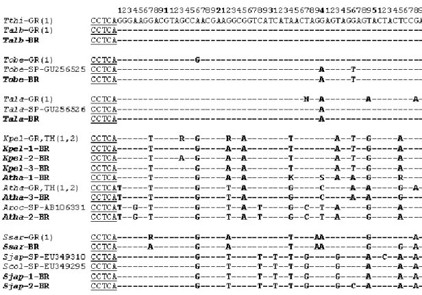 Figure 3. The alignment of sequences of the 59-bp BDR region of the cytochrome b gene
