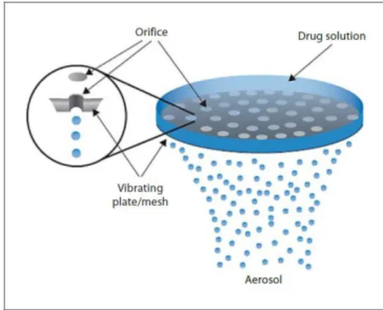 Figure 3. Vibrating mesh nebulizer, from[53] 