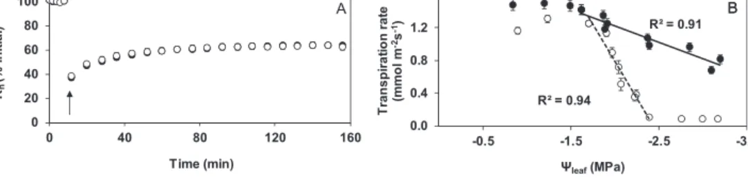 Fig. 6. Stem hydraulic conductivity recovery upon air emboli induction, and transpiration rate as a function of leaf water potential in cv