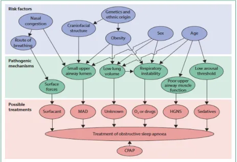 Figura 2- Risk factors, pathogenic mechanisms and possible treatments for obstructive sleep apnoea