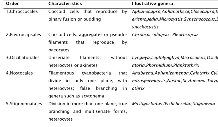 Table  1  -  Botanical  classification  of  Cyanobacteria,  main  structural  characteristic  and  main genera
