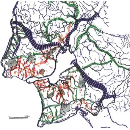 Figura 8 – Rede Ecológica Metropolitana da AML  Fonte: PROT AML (2002; 62) 