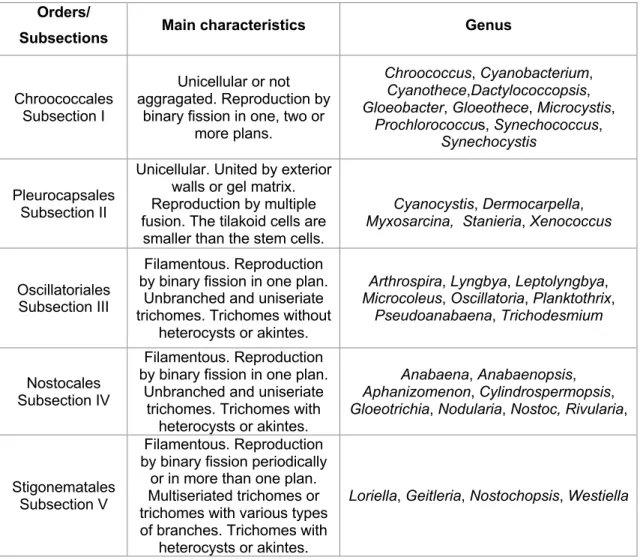 Table  1  -  Main  characteristics  and  genus  of  the  5  orders/subsections  of  the  phylum  cyanobacteria