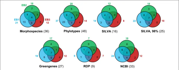 FIGURE 6 | Venn diagrams showing the number of distinct cyanobacterial taxa distinguished in each mat sample, by different approaches (including a