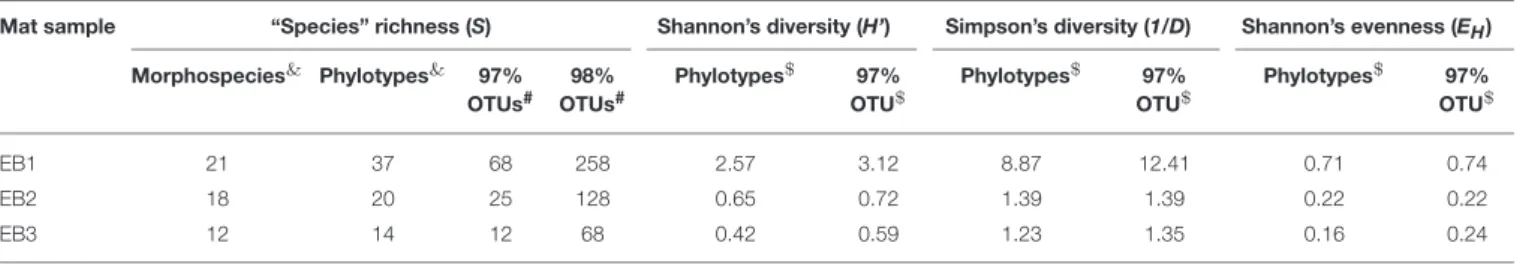 TABLE 6 | Diversity estimates, considering different categorizations of taxa and/or molecular data processing.