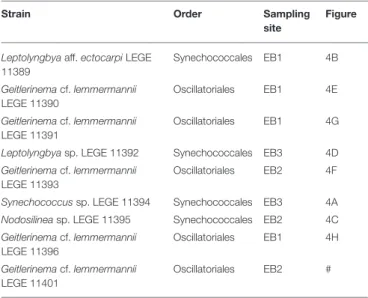 TABLE 4 | List of cyanobacterial strains isolated from hypersaline microbial mats collected at the Araruama lagoon system (RJ, Brazil).