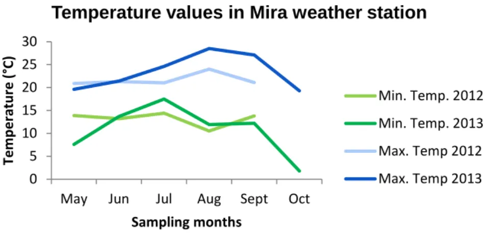 Figure 13. Minimum and maximum temperatures registered in Mira weather station in the sampling periods of 2012 and  2013 (data provided by IPMA)