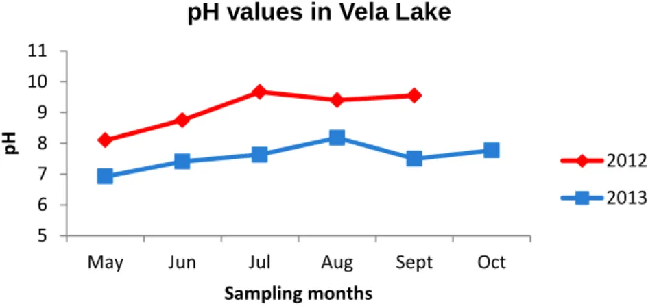 Figure 19. pH values registered in Vela Lake in the sampling periods of 2012 and 2013