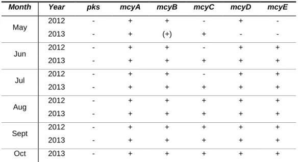 Table 4. Detection of amplified fragments implicated in hepatatoxins biosynthesis from samples of Parque da Cidade do  Porto Lake 1