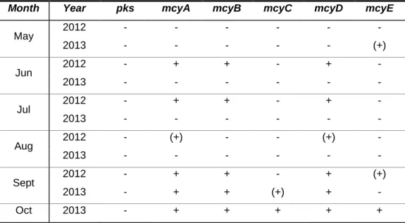 Table 6. Detection of amplified fragments implicated in hepatatoxins biosynthesis from samples of Parque da Cidade do  Porto Lake 3