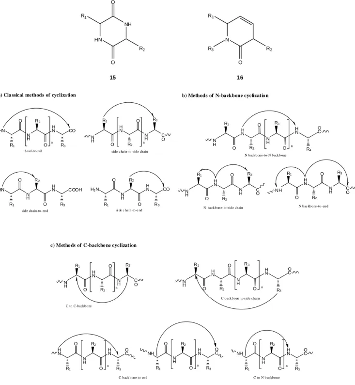 Figure 2. Routes for intramolecular peptide cyclization. Adapted from [31, 42].  HN NHO O 15 N O 16R1R1R2R3 R 2 HN N H HN R 1 O R 2 O R 3 COn