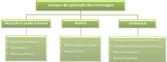 Figura 2.5 - Campos de aplicação das microalgas. 