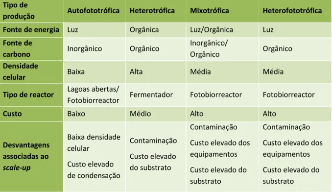 Tabela 2.6 - Características de cada tipo de produção. 