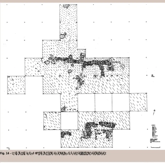 Fig. 14 - Monte Roncão 10 – Planta geral da escavação e das estruturas detectadas.