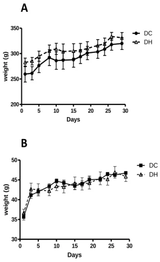 Figure 2 - The weight gain of rats (A) and mice  (B)  treated  with  standard  diet  (DC)  and  with  high calorie diet (DH) for 30 days
