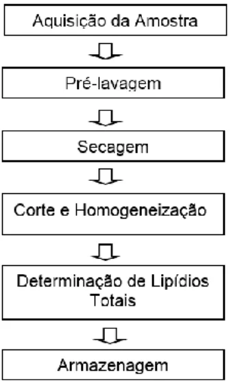 Figura 2 –   Esquema de aplicação do detergente. 