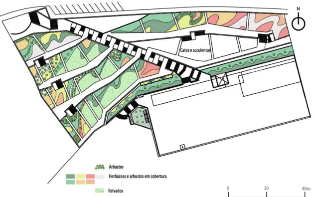 Fig. 16 – Plano de vegetação herbácea e arbustiva. (Fonte: Câmara Municipal do Funchal)