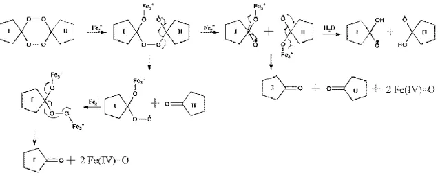 Figura 73 - Mecanismo proposto para a decomposição dos tetraoxanos induzida pelo ferro no estado de oxidação II  com formação das espécies intermediárias Fe(IV)=O