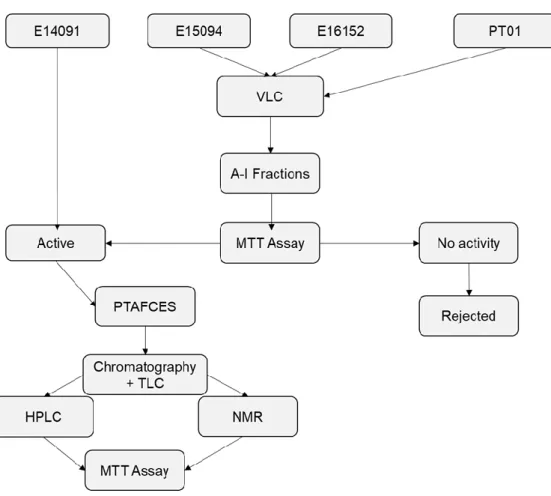 Figure 5. Bioassay guided fractionation design used in this study 