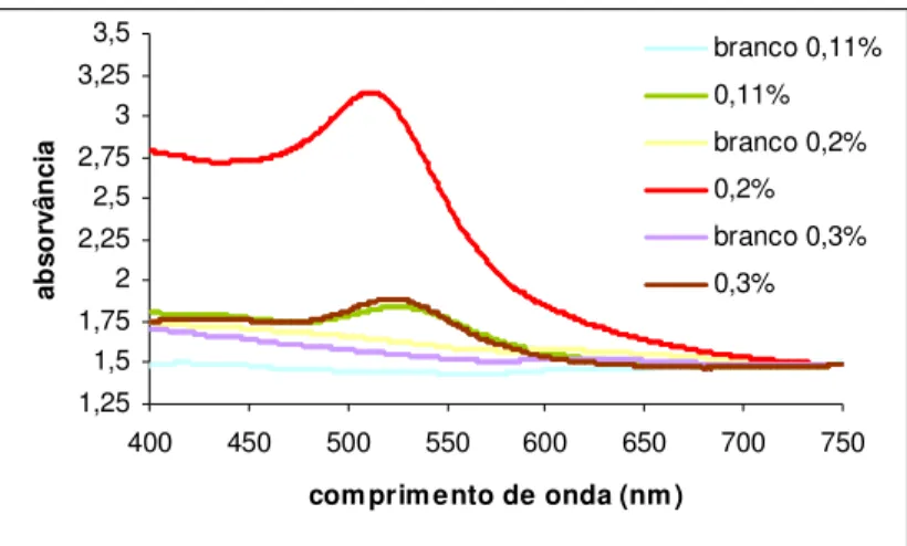 Figura  2.  4.  Espectros  de  absorção  de  vidros  de  diferentes  concentrações  de  HAuCl 4,  0,11, 0,2 e 0,3 (% m/m), irradiados e não irradiados (branco), aquecidos a 700 ºC durante  90 min