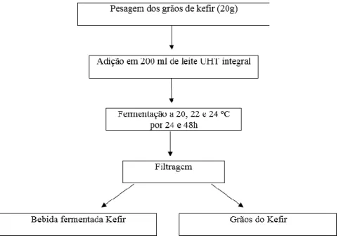 Figura 2 – Leite fermentado kefir. 