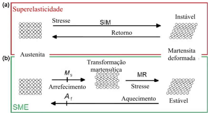 Figura  2  –  Transformação  martensítica.  (a)  superelasticidade  (SE)  à  temperatura  ambiente  e  acima  da  temperatura da fase austenita